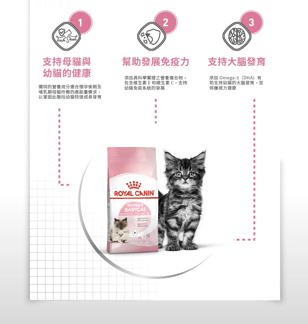【ROYAL CANIN 皇家】BC34 離乳貓與母貓專用乾糧