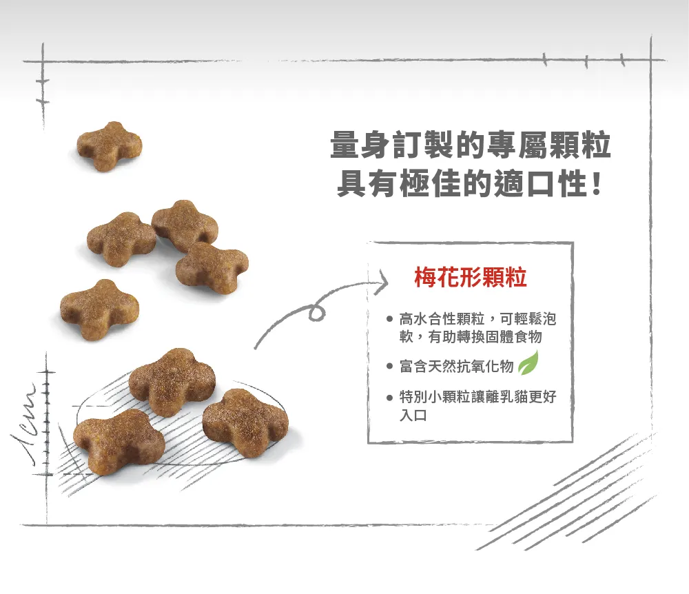 【ROYAL CANIN 皇家】BC34 離乳貓與母貓專用乾糧