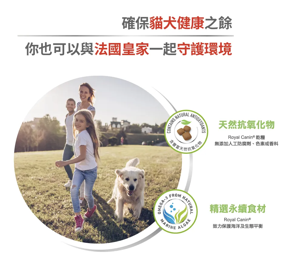 【ROYAL CANIN 皇家】BC34 離乳貓與母貓專用乾糧