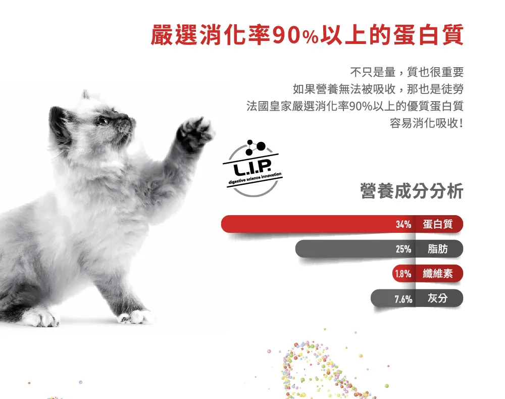【ROYAL CANIN 皇家】BC34 離乳貓與母貓專用乾糧
