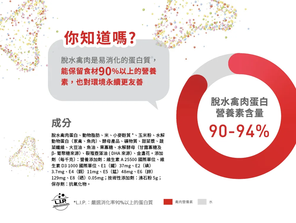 【ROYAL CANIN 皇家】BC34 離乳貓與母貓專用乾糧