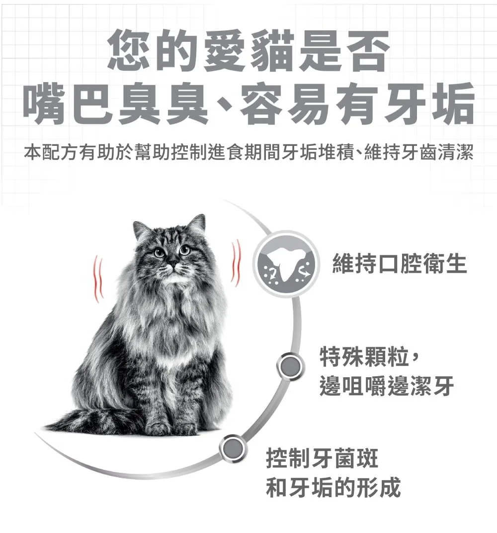 【ROYAL CANIN 皇家】O30 潔牙保健成貓專用乾糧