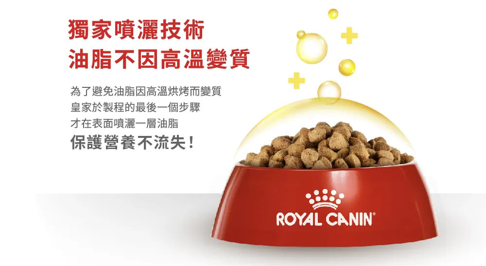 【ROYAL CANIN 皇家】FHN 皇家老貓15+歲齡 A30+15