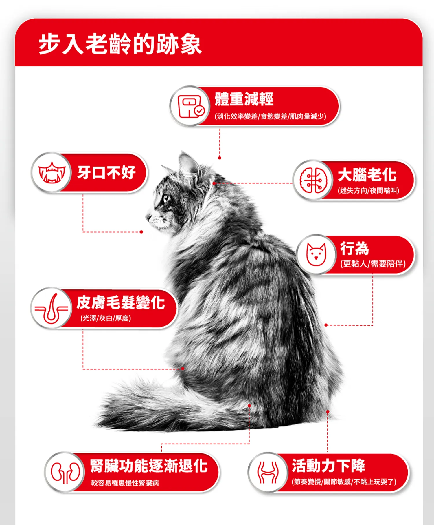【ROYAL CANIN 皇家】FHN 皇家老貓15+歲齡 A30+15