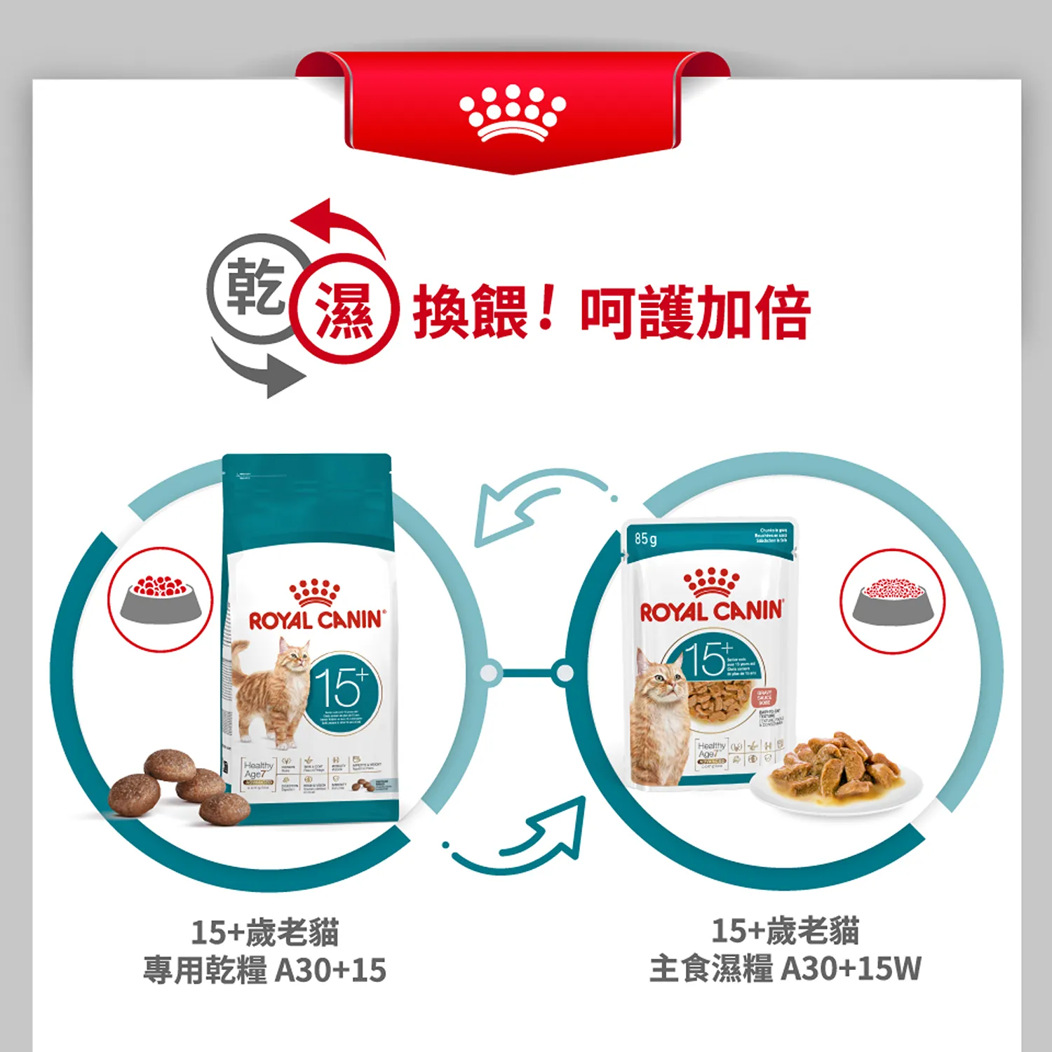 【ROYAL CANIN 皇家】FHN 皇家老貓15+歲齡 A30+15