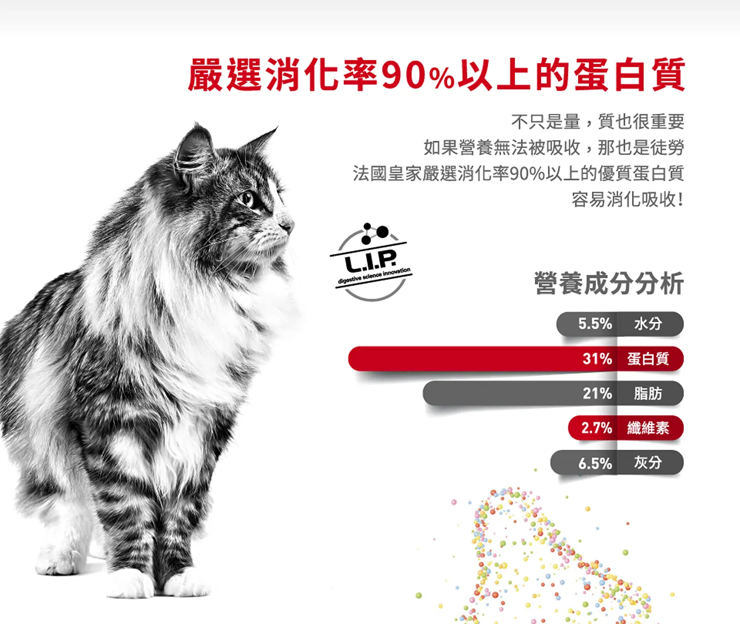 【ROYAL CANIN 皇家】FHN 皇家老貓15+歲齡 A30+15