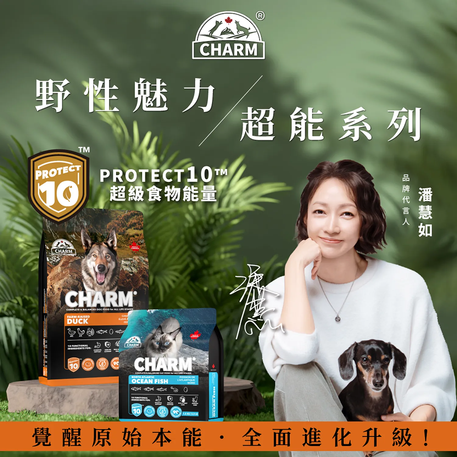 【CHARM野性魅力】超能精華 [貓] 