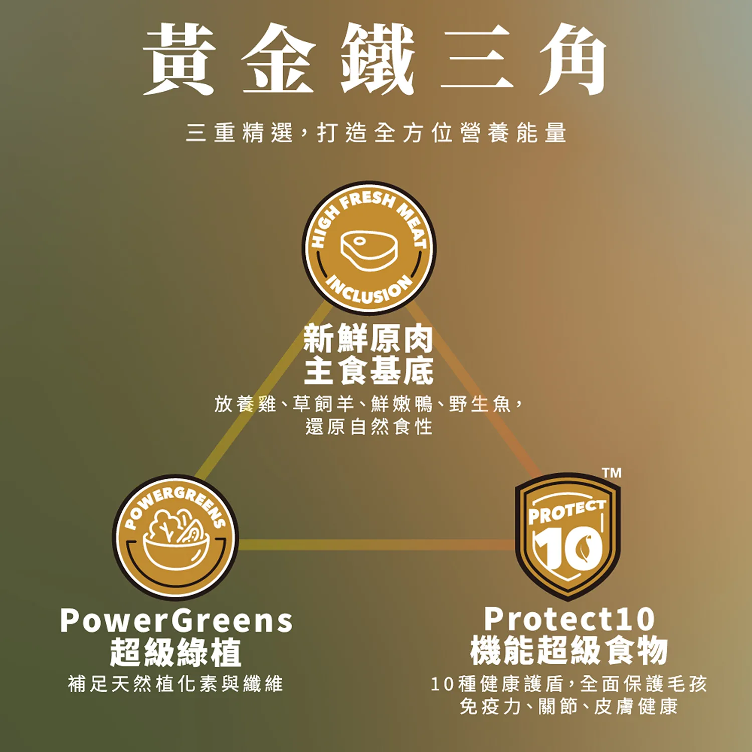 【CHARM野性魅力】超能精華 [貓] 