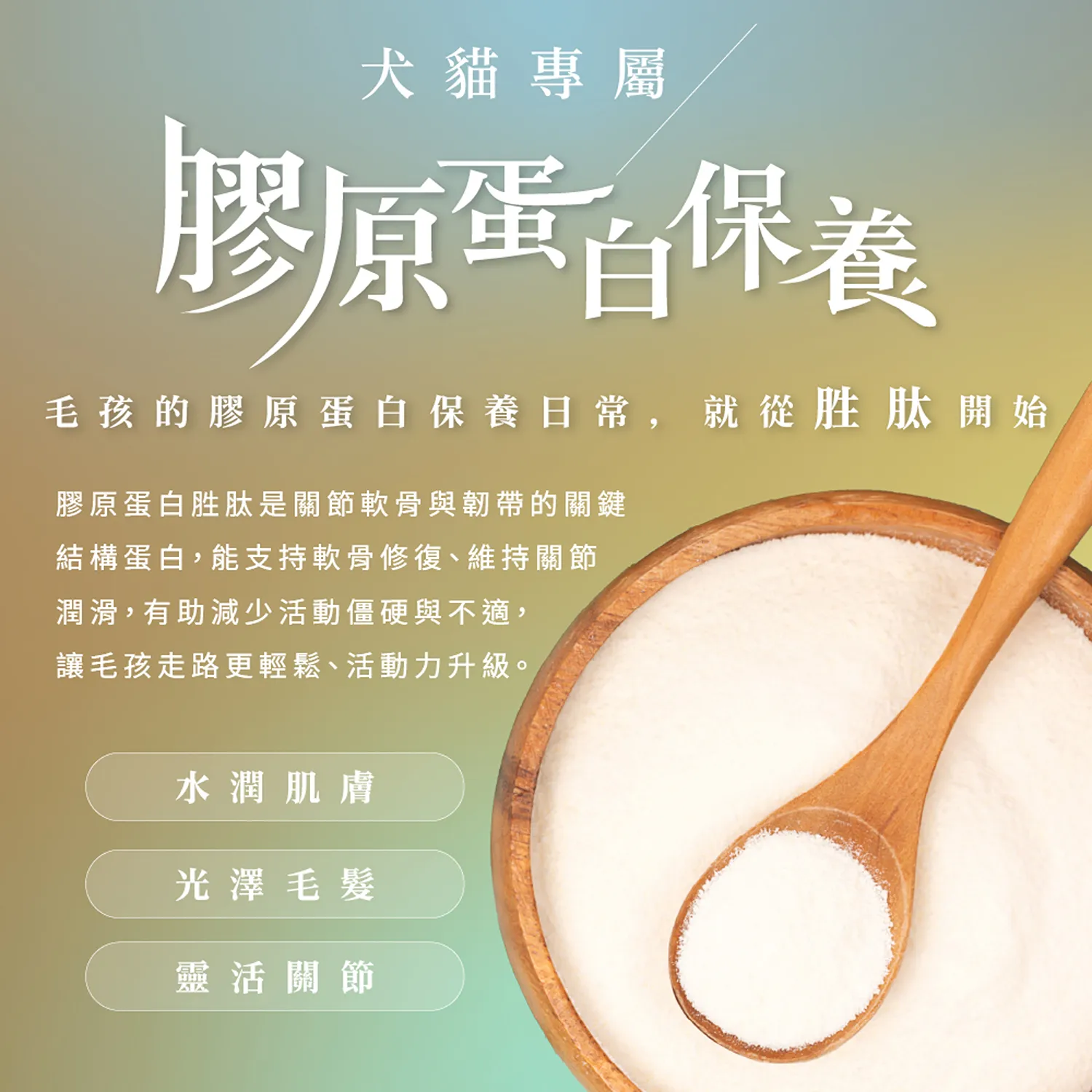 【CHARM野性魅力】超能精華 [貓] 