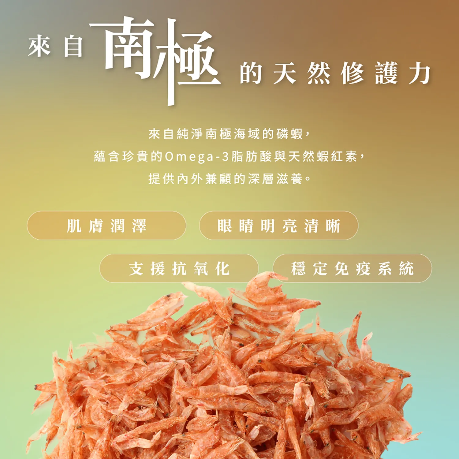 【CHARM野性魅力】超能精華 [貓] 