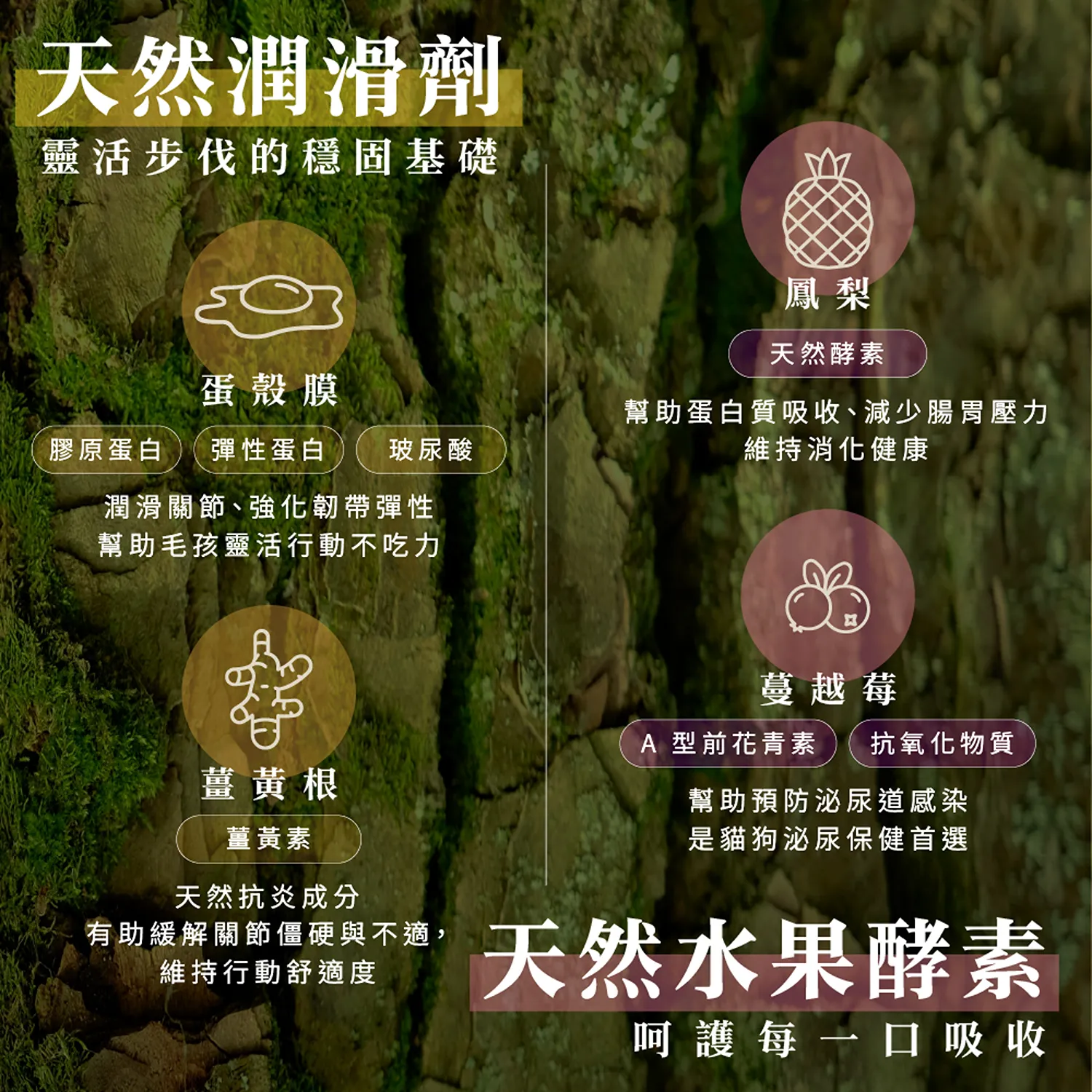 【CHARM野性魅力】超能精華 [貓] 
