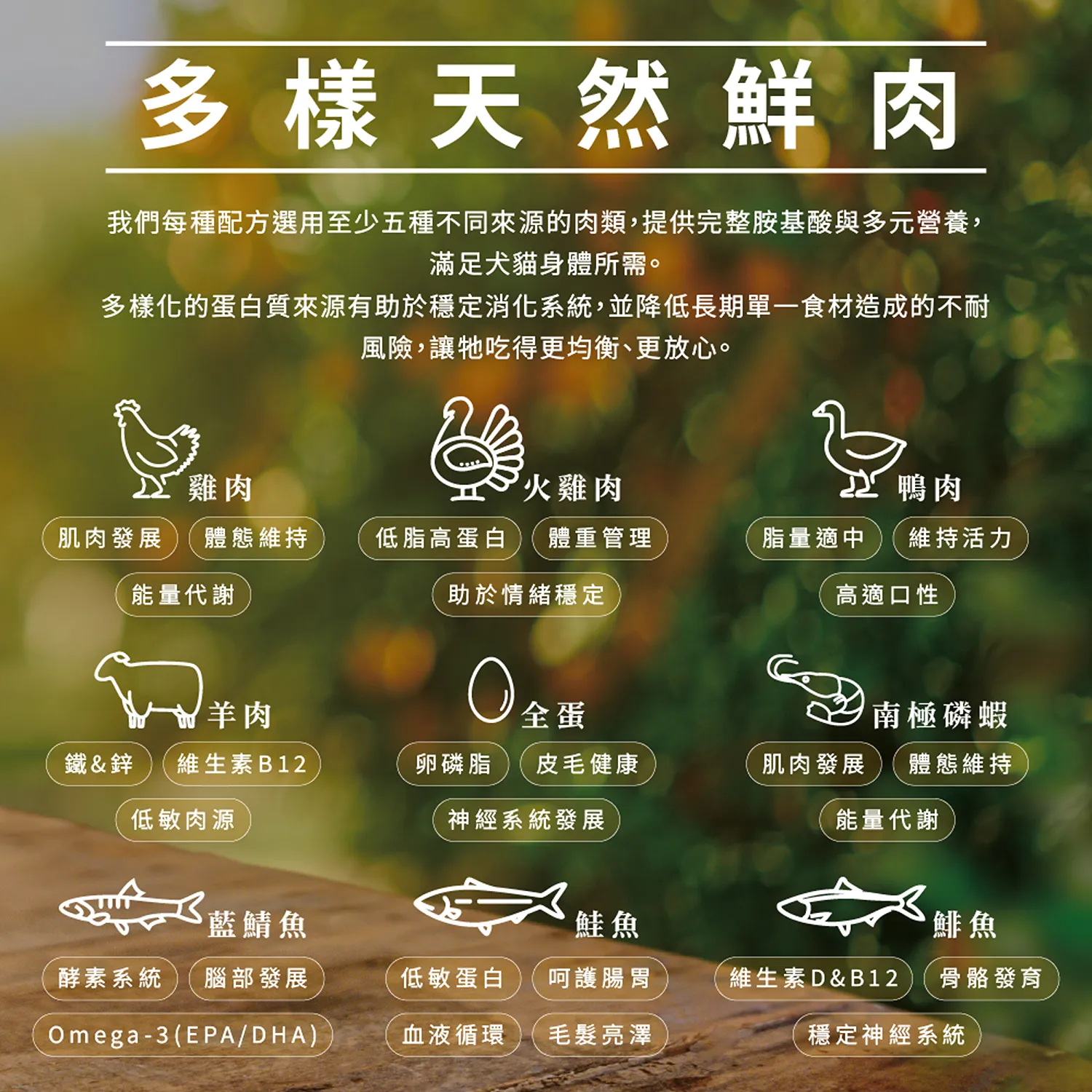 【CHARM野性魅力】超能精華 [貓] 