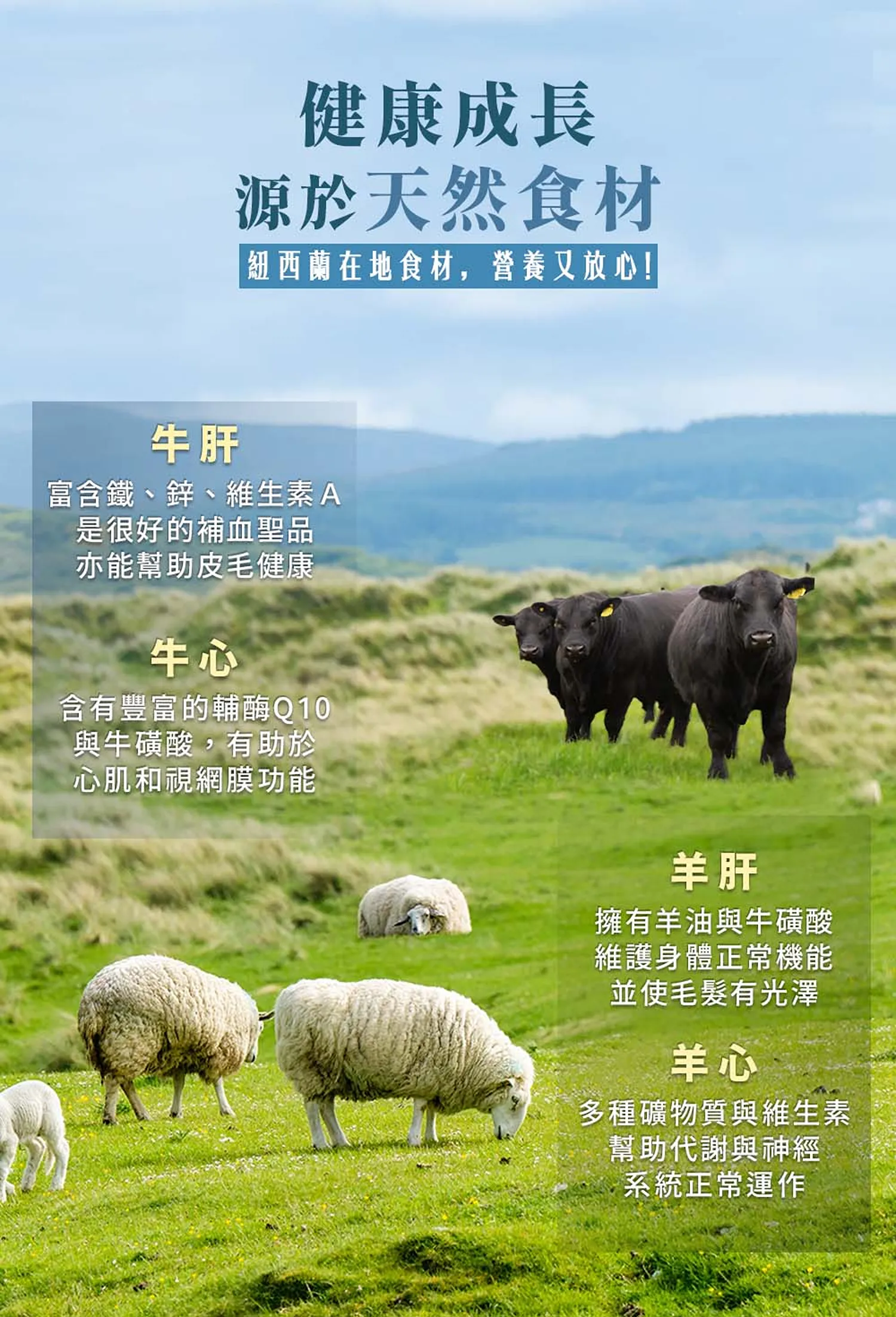 【CHARM野性魅力】紐西蘭犬貓凍乾系列