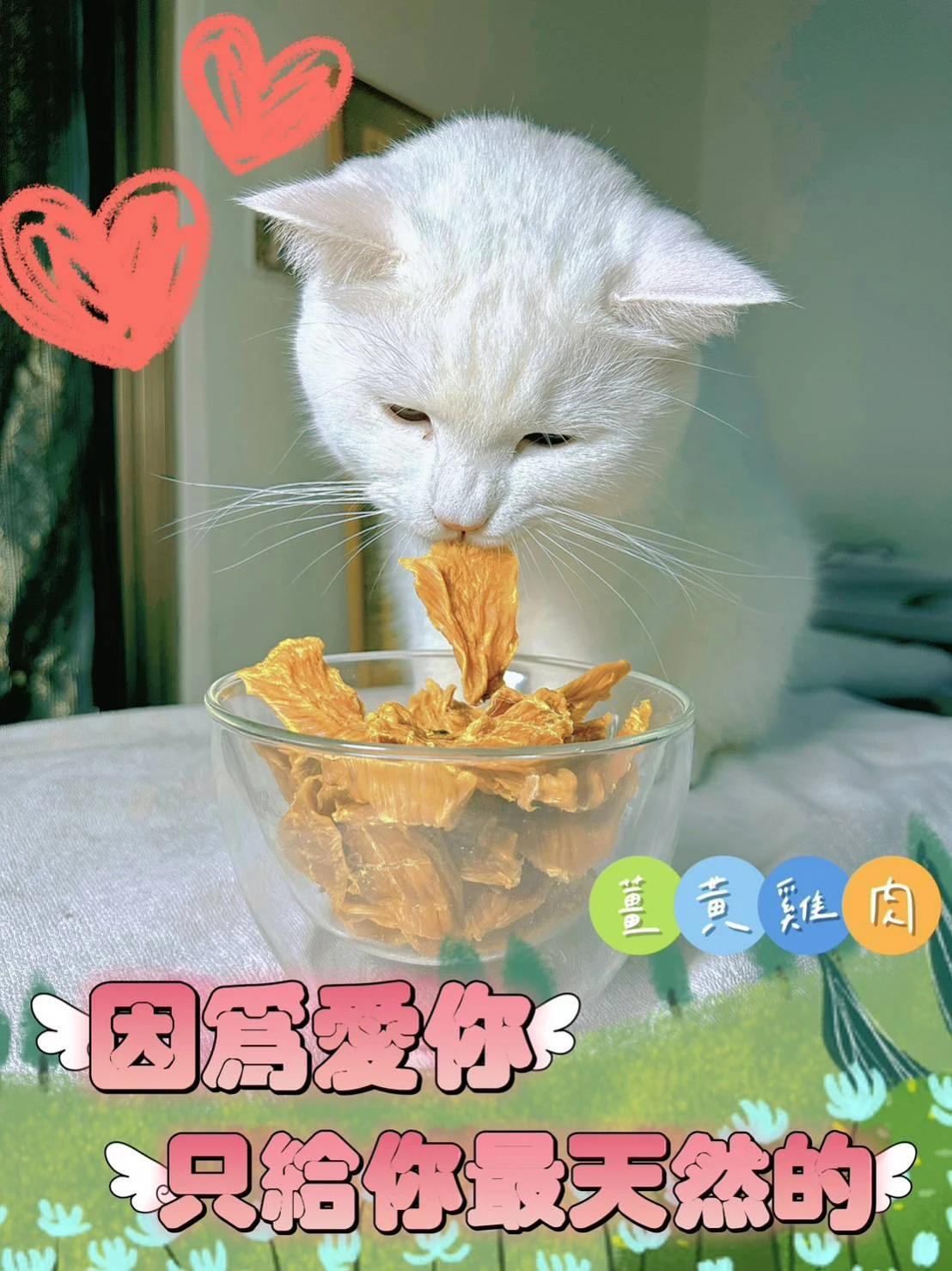 【KURO小舖】手工寵物零食 - 香純牛肉乾