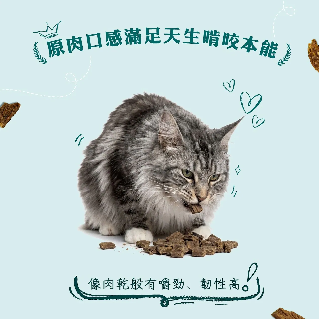 紐西蘭風乾主食貓糧