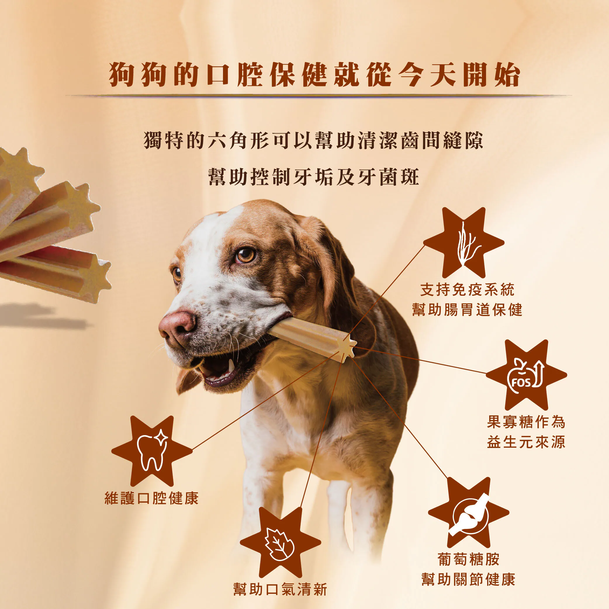 犬用潔牙骨