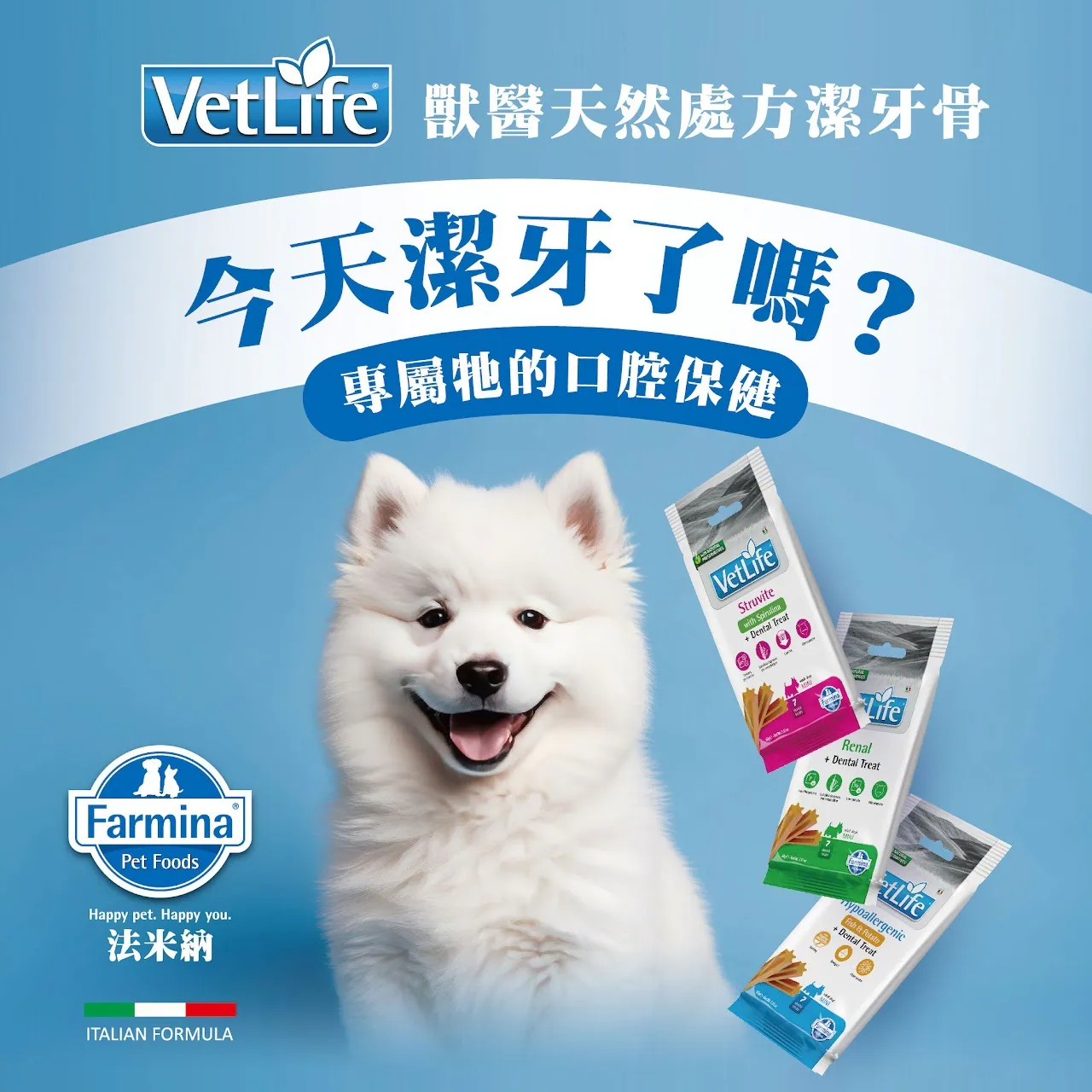 犬用潔牙骨