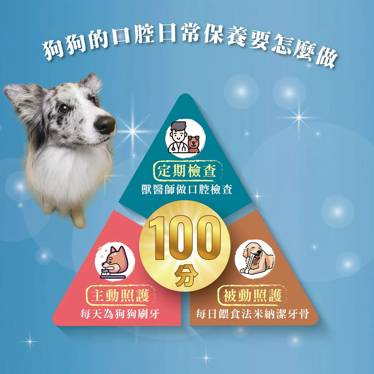 犬用潔牙骨