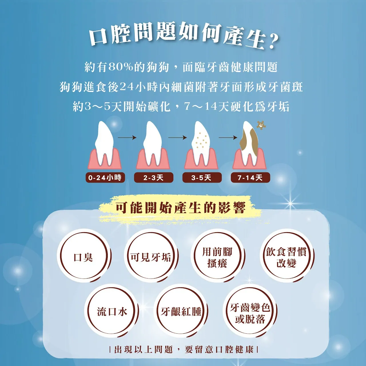 犬用潔牙骨