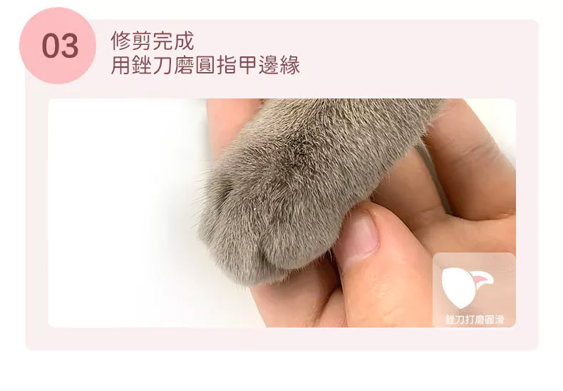 【宠有引力】LED帶燈款寵物指甲剪