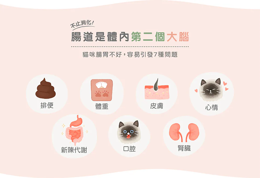 肉泥機能主食罐