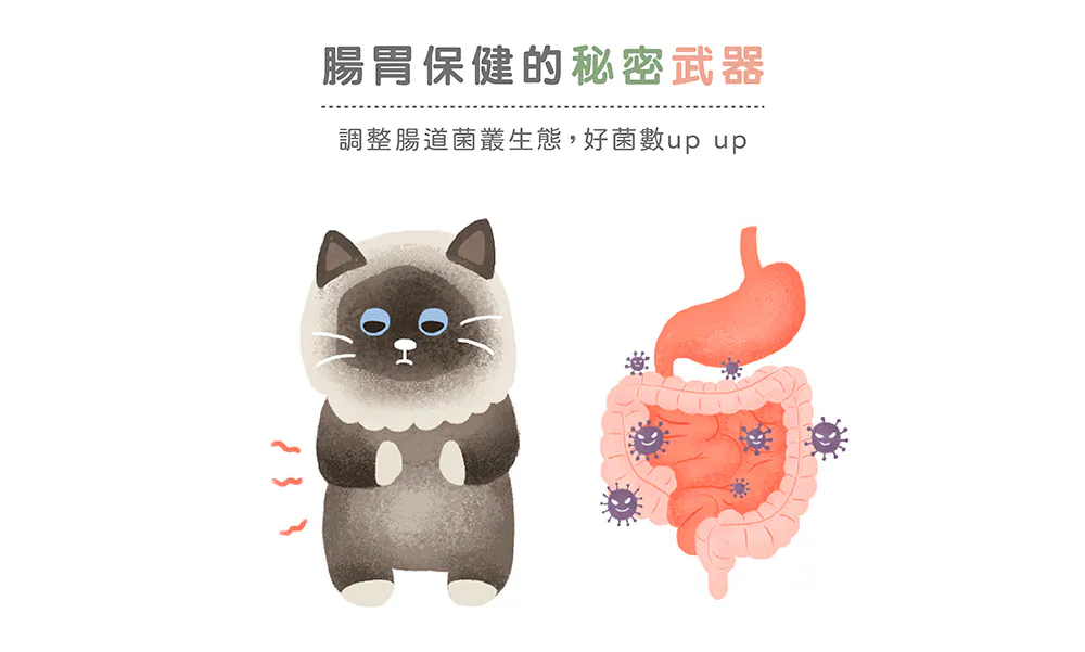 肉泥機能主食罐