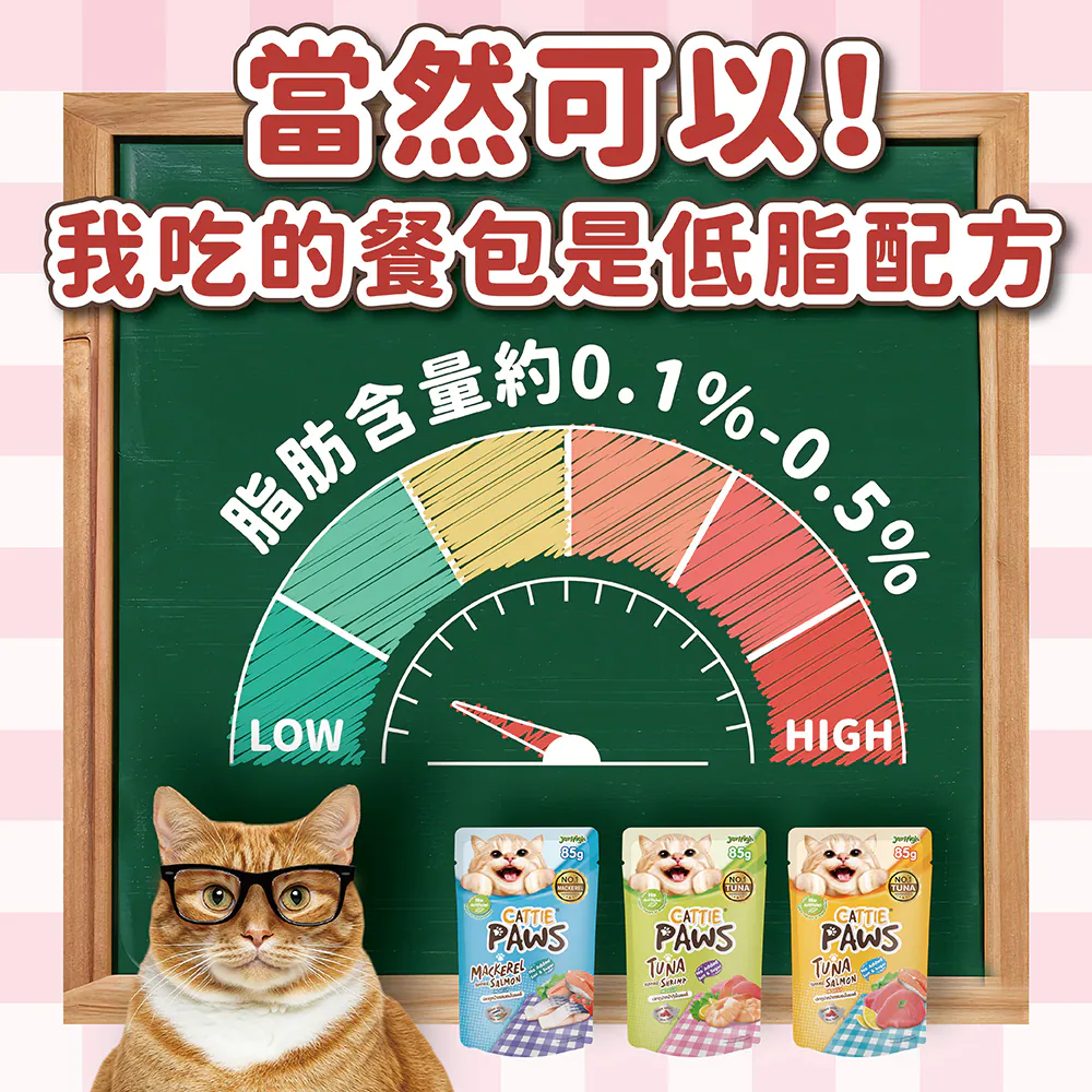小P 抓抓貓餐包
