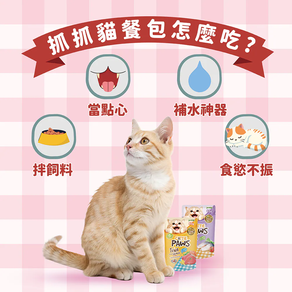 小P 抓抓貓餐包