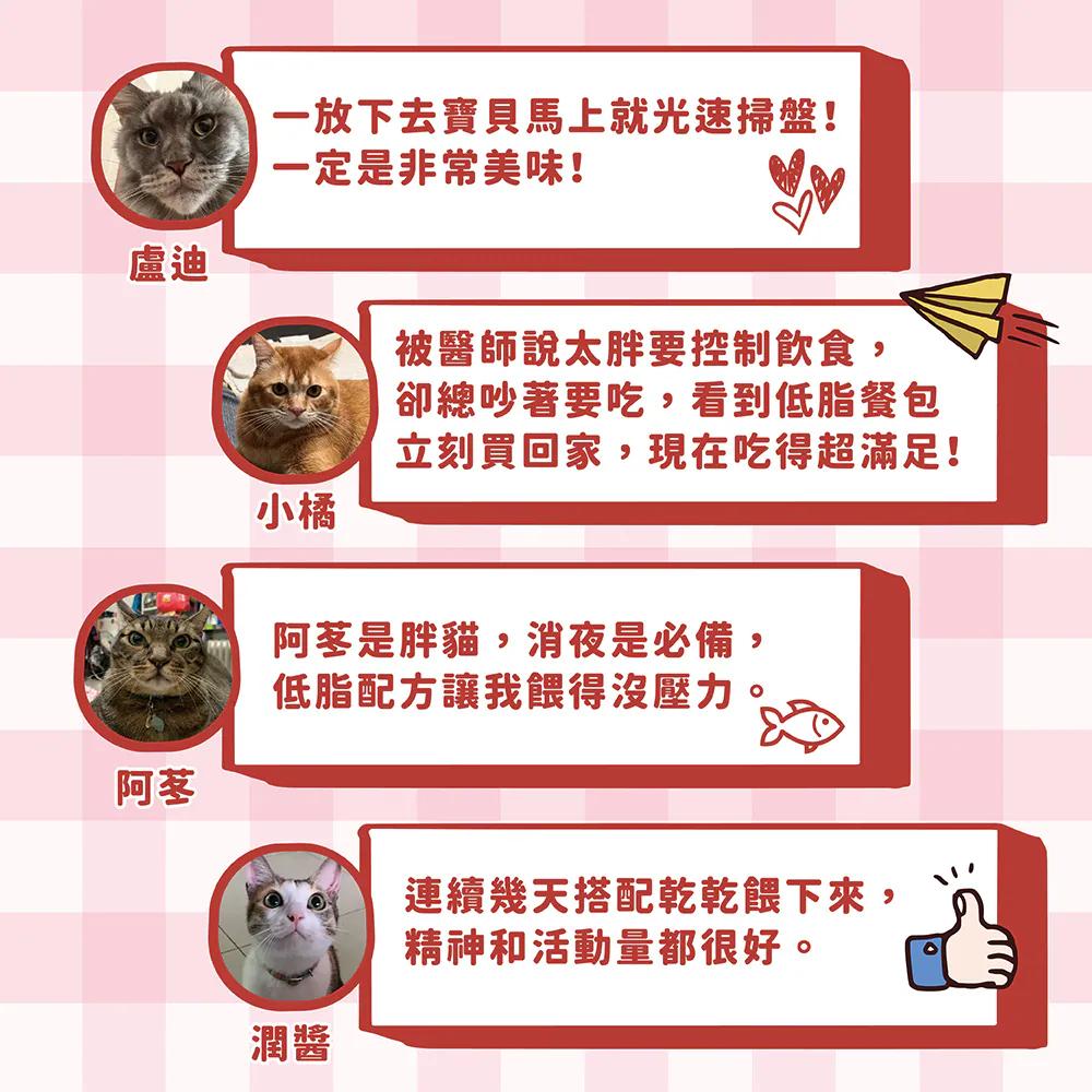 小P 抓抓貓餐包