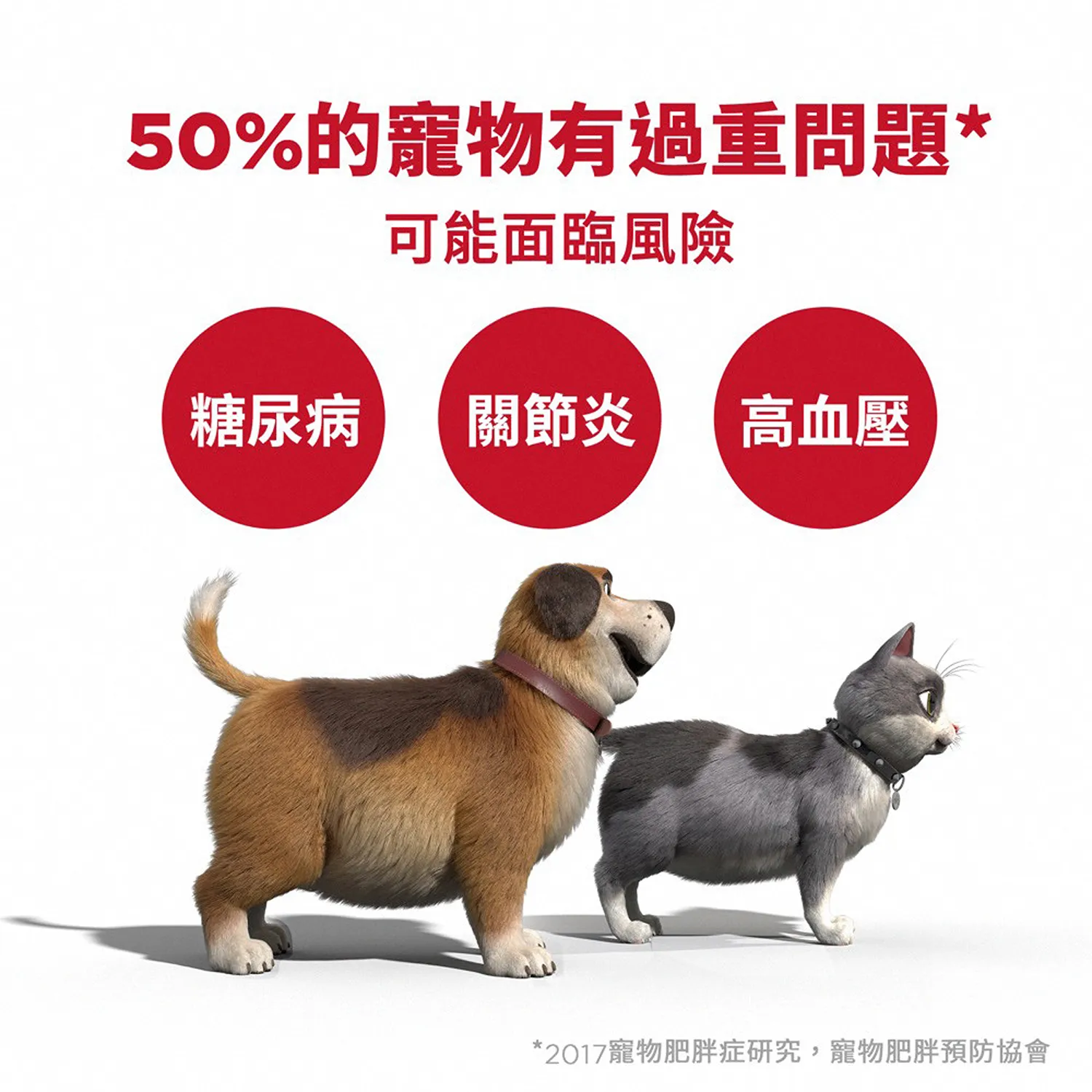 成貓完美體重雞肉特調食譜