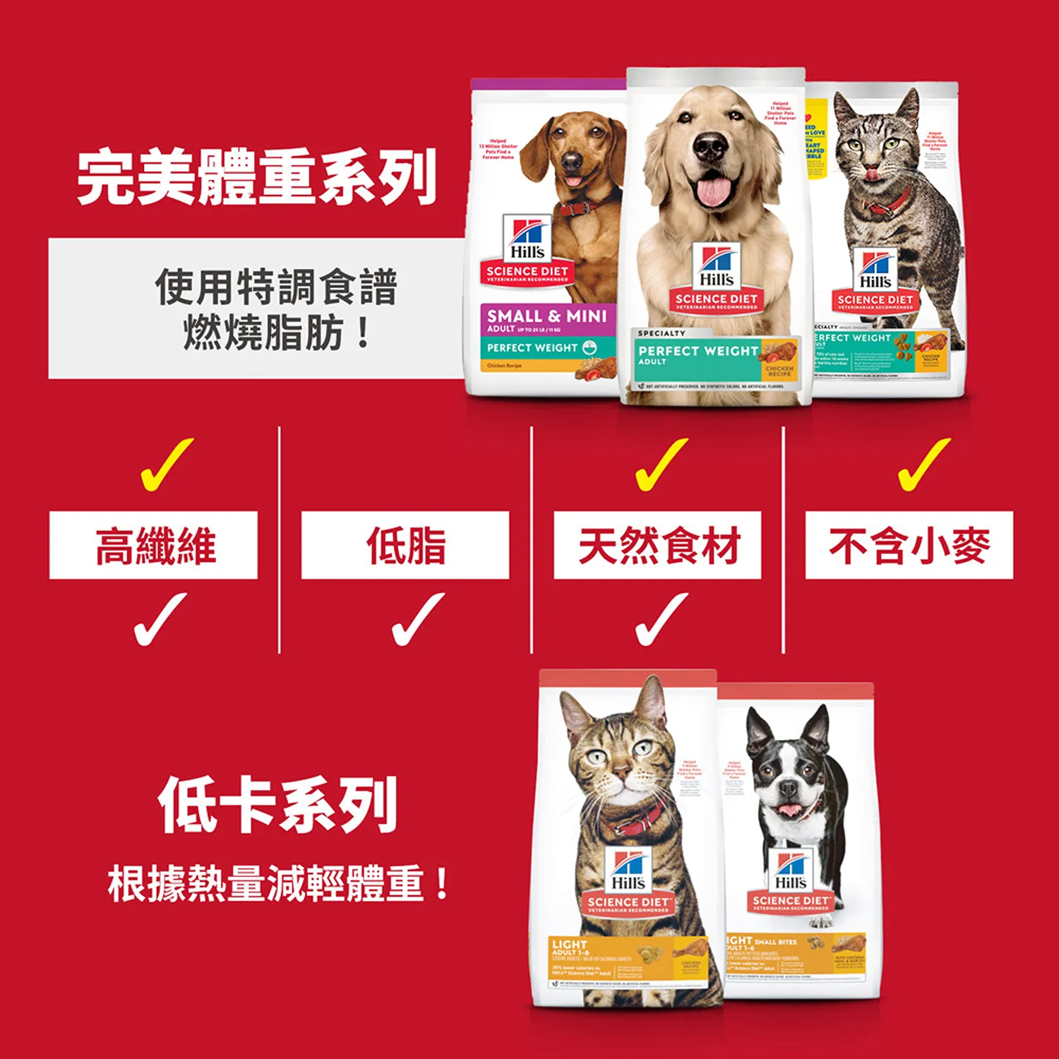 成貓完美體重雞肉特調食譜
