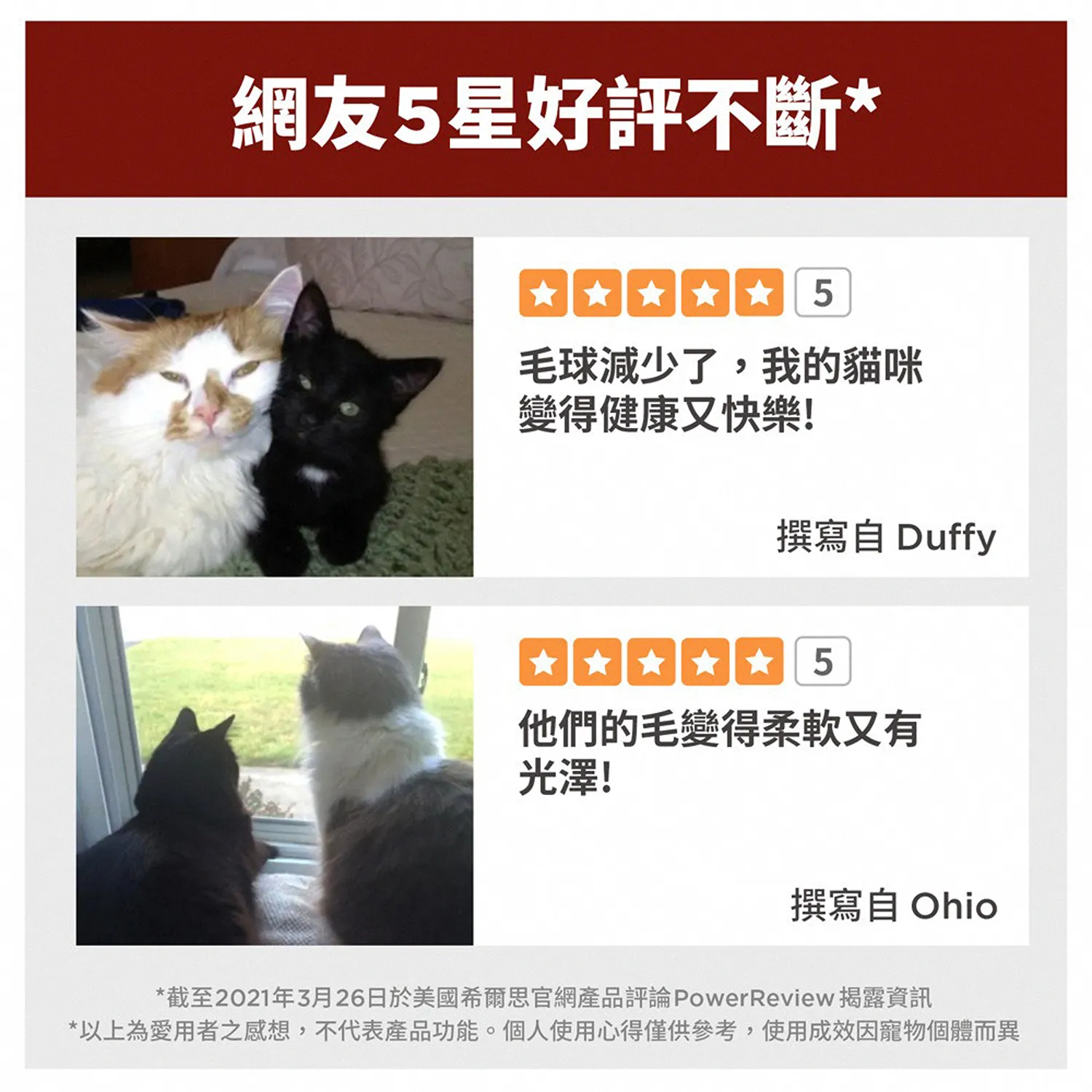 成貓毛球控制雞肉特調食譜