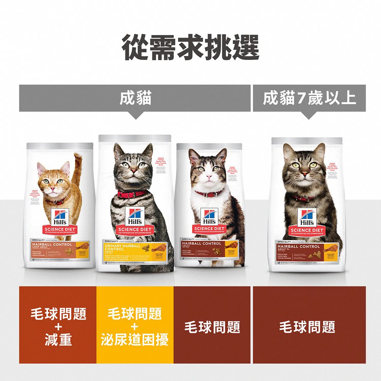 成貓毛球控制雞肉特調食譜
