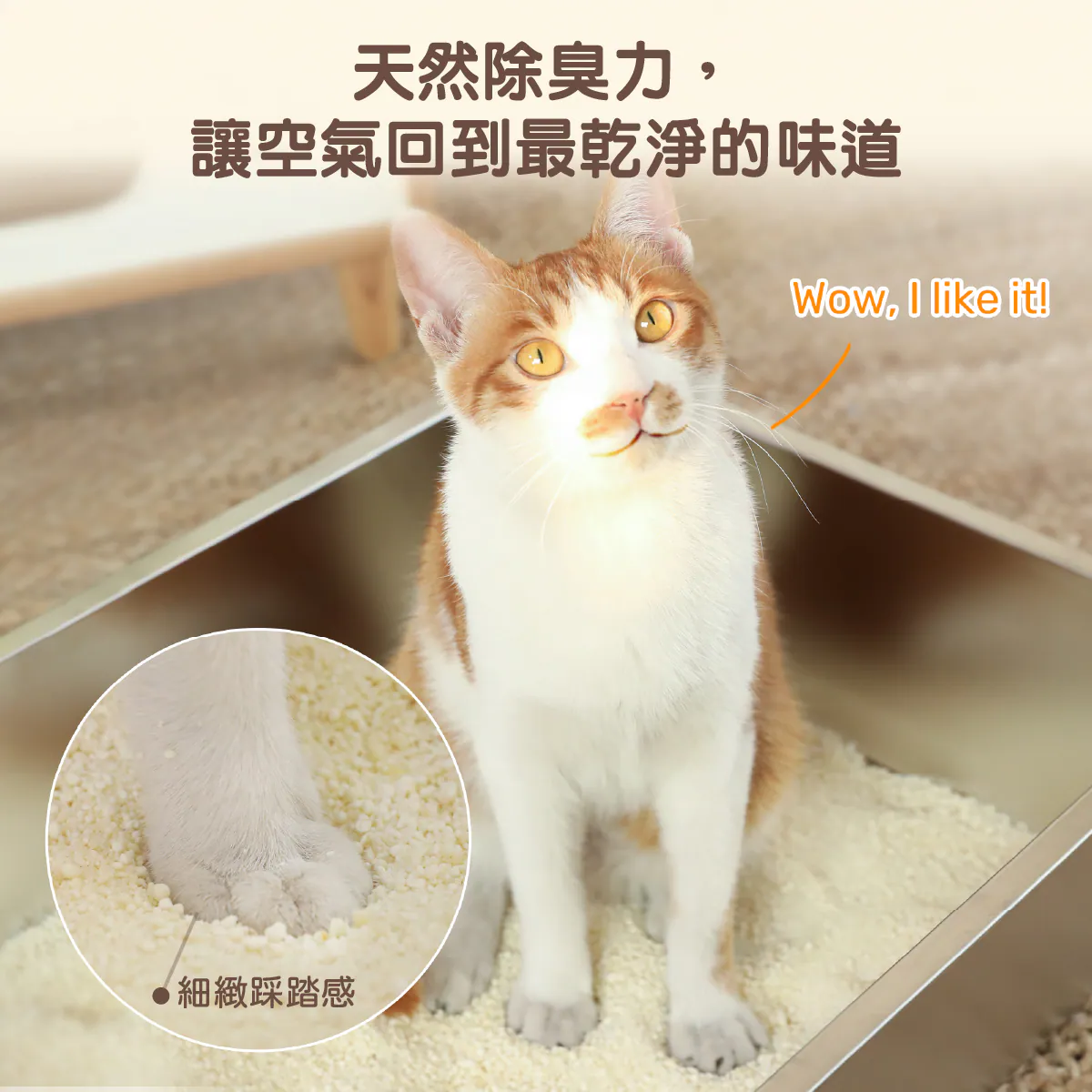 【FUKUMARU 福丸】貓砂 豆腐砂