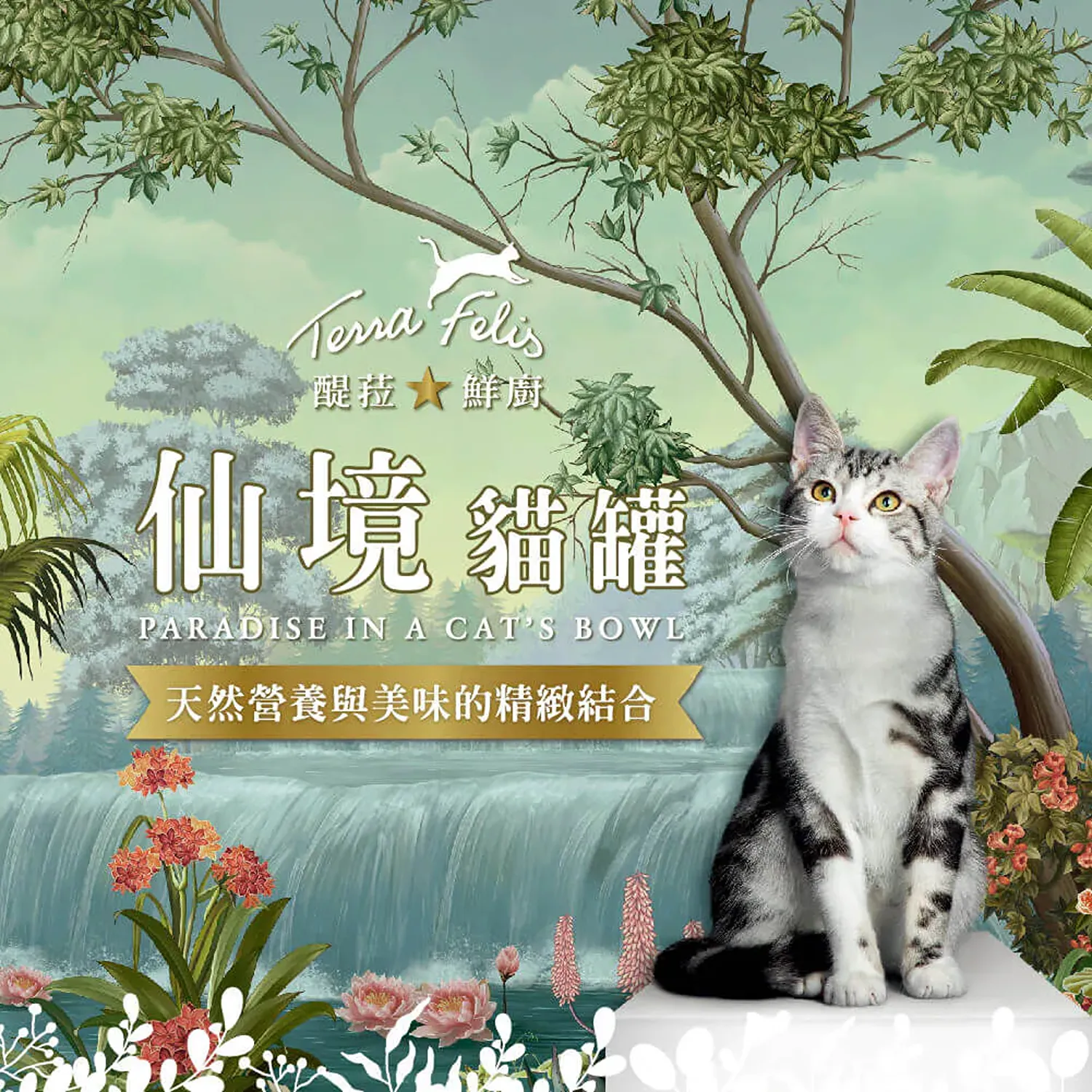 【德國 Terra Canis】醍菈鮮廚仙境貓罐系列