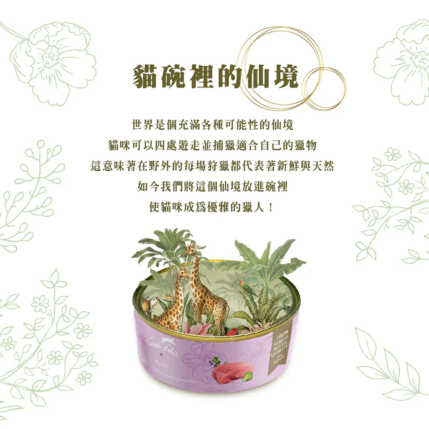 【德國 Terra Canis】醍菈鮮廚仙境貓罐系列