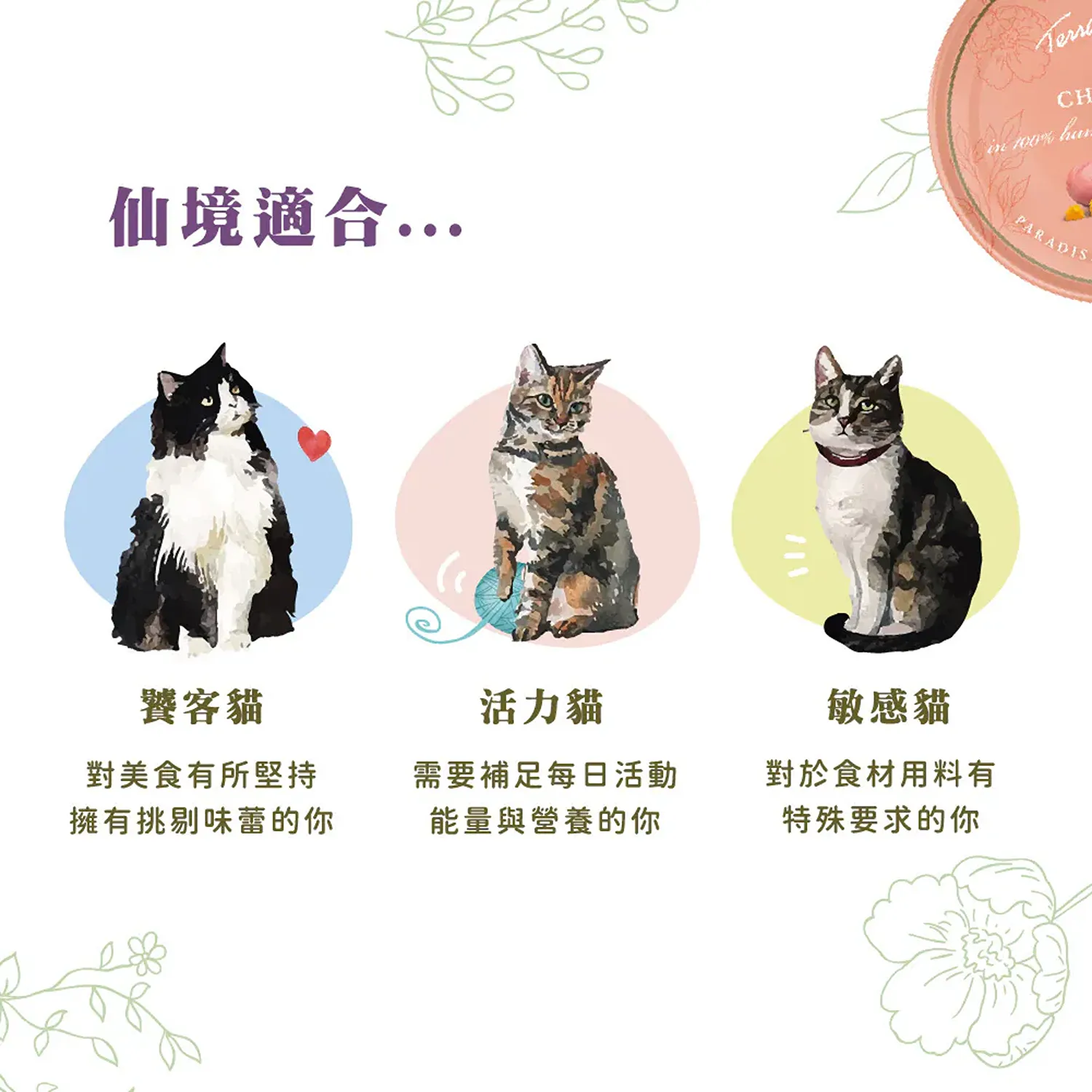 【德國 Terra Canis】醍菈鮮廚仙境貓罐系列
