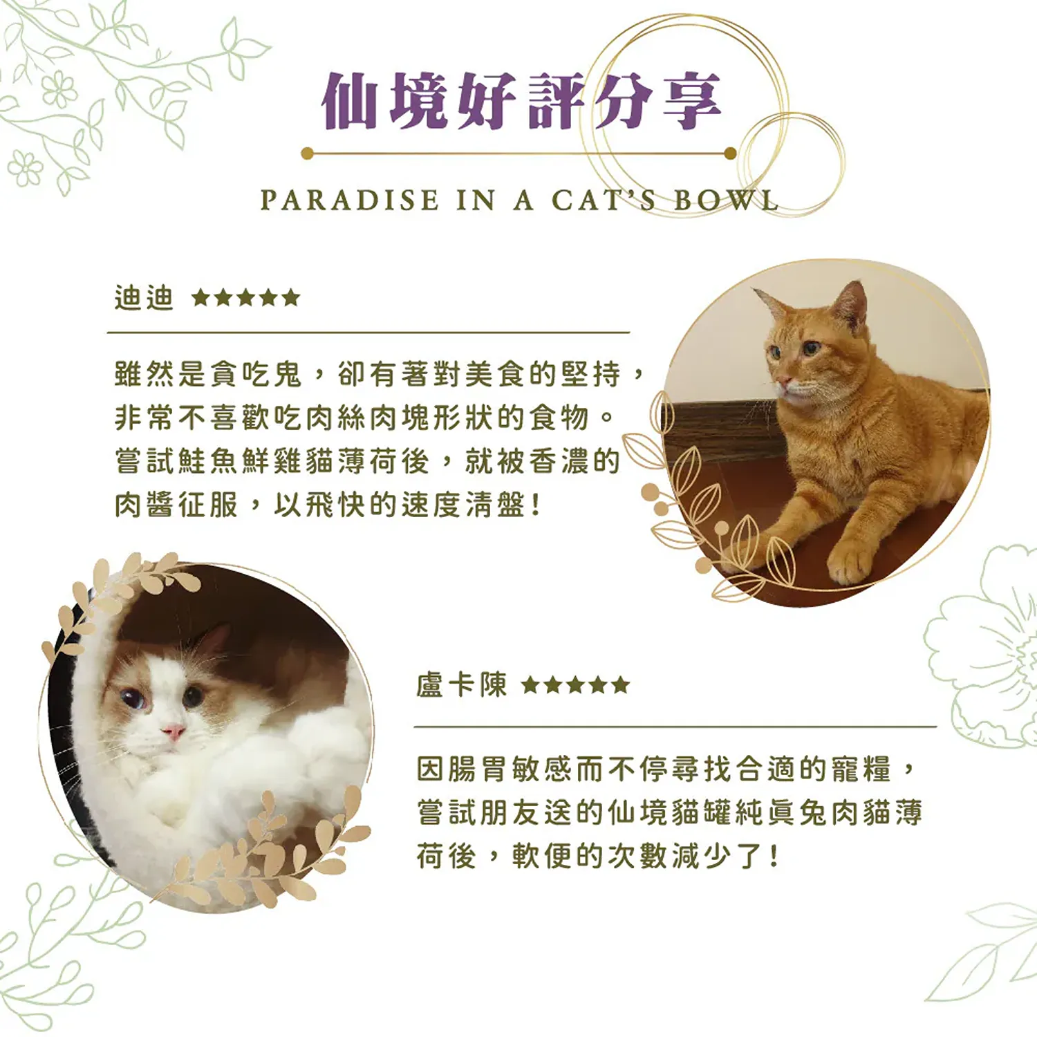 【德國 Terra Canis】醍菈鮮廚仙境貓罐系列