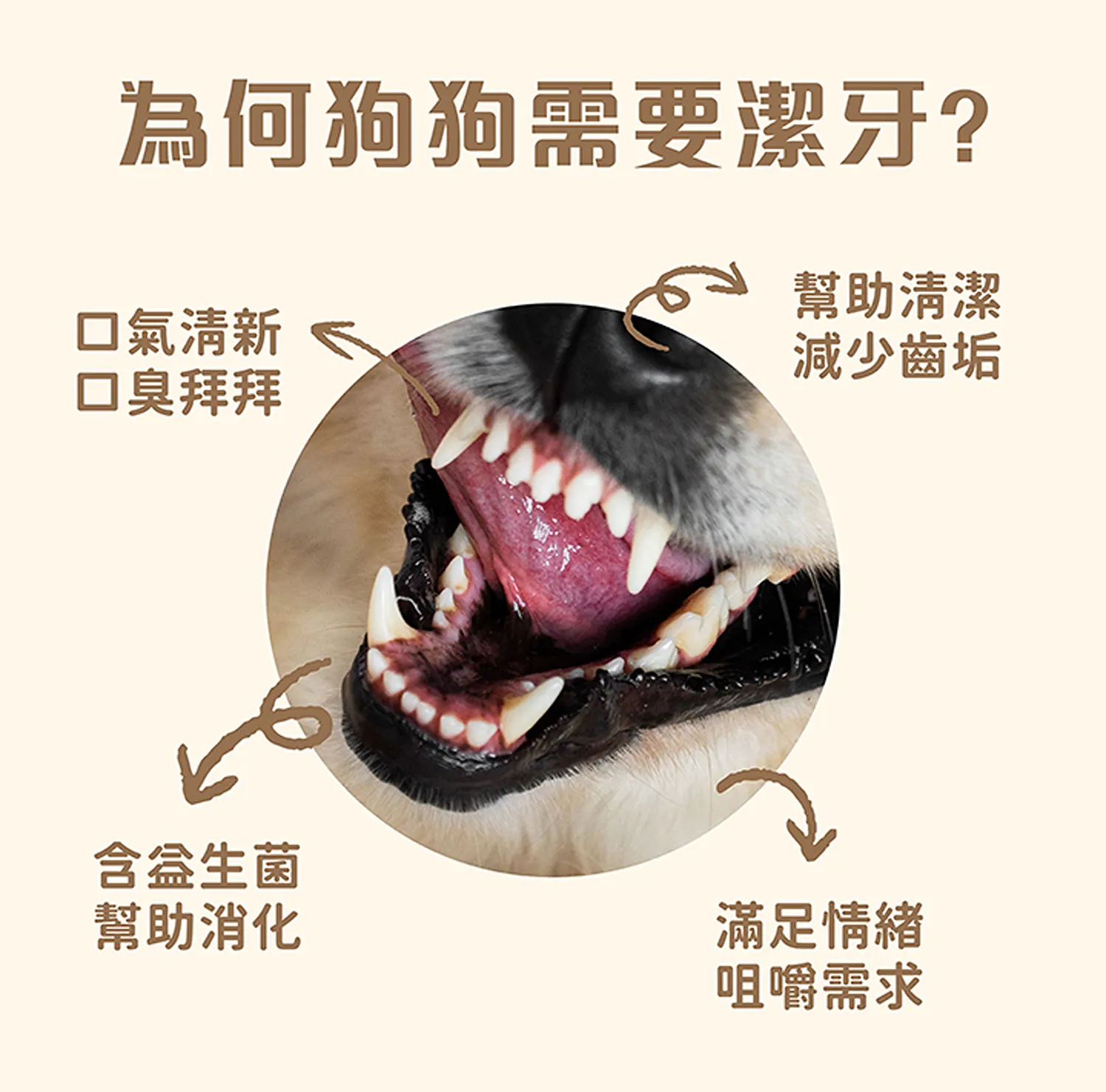 三效袋鼠潔牙棒