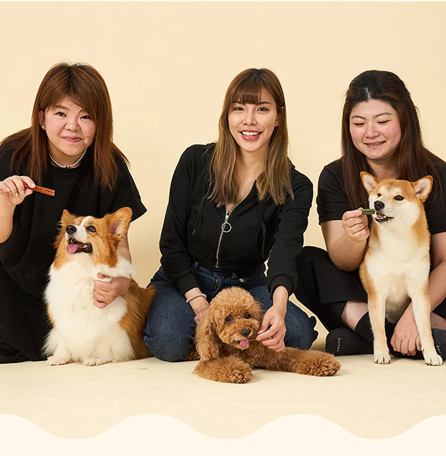 三效袋鼠潔牙棒