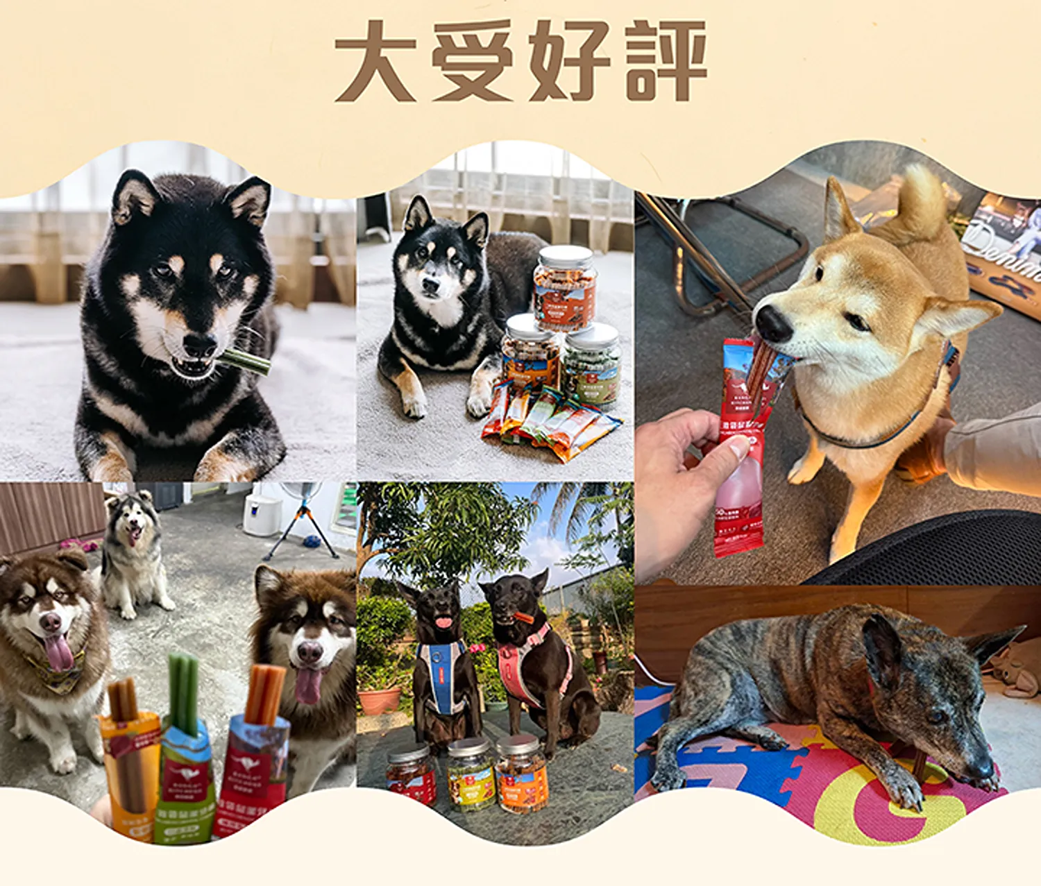 三效袋鼠潔牙棒