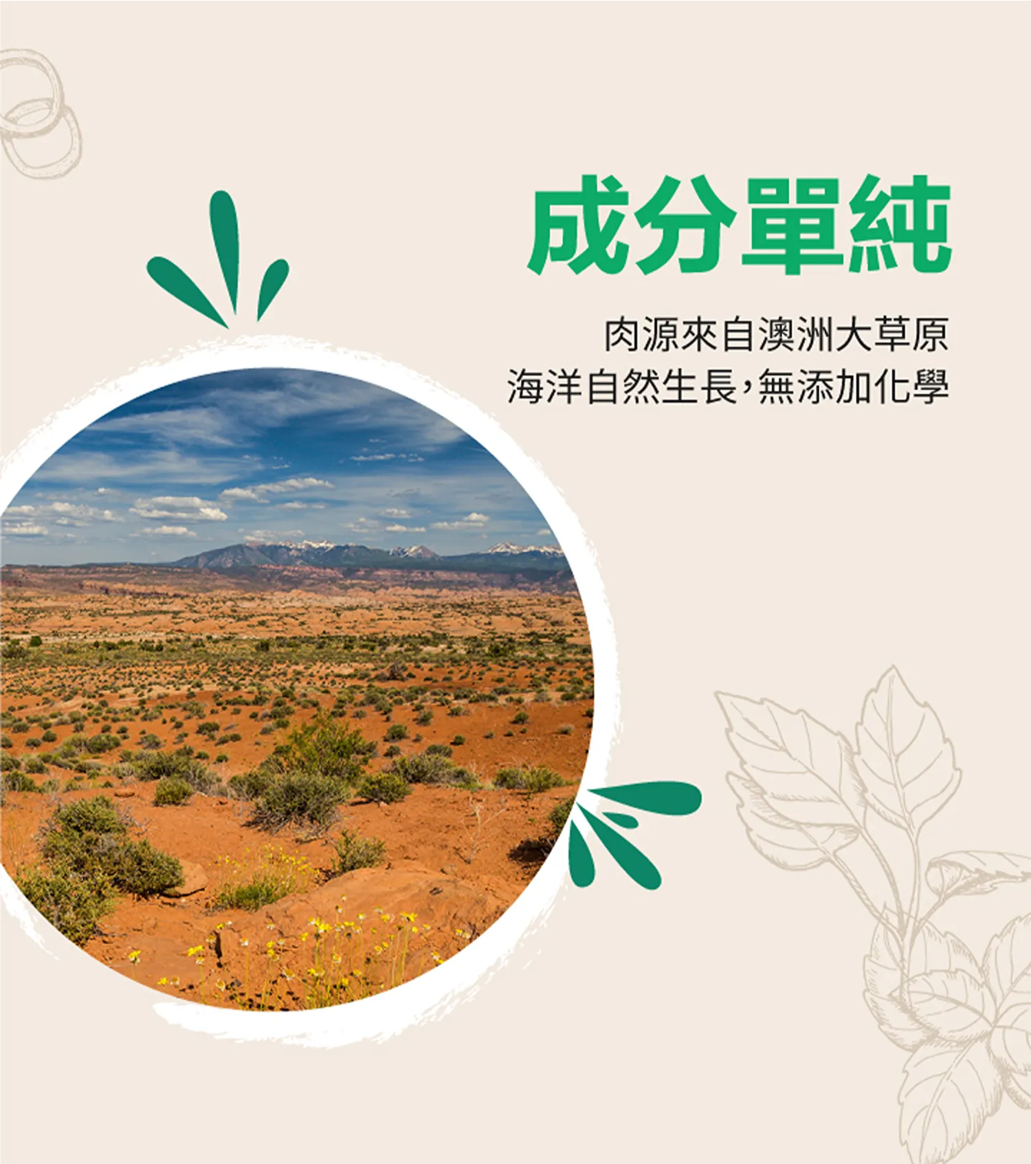 野生袋鼠蔬菜棒