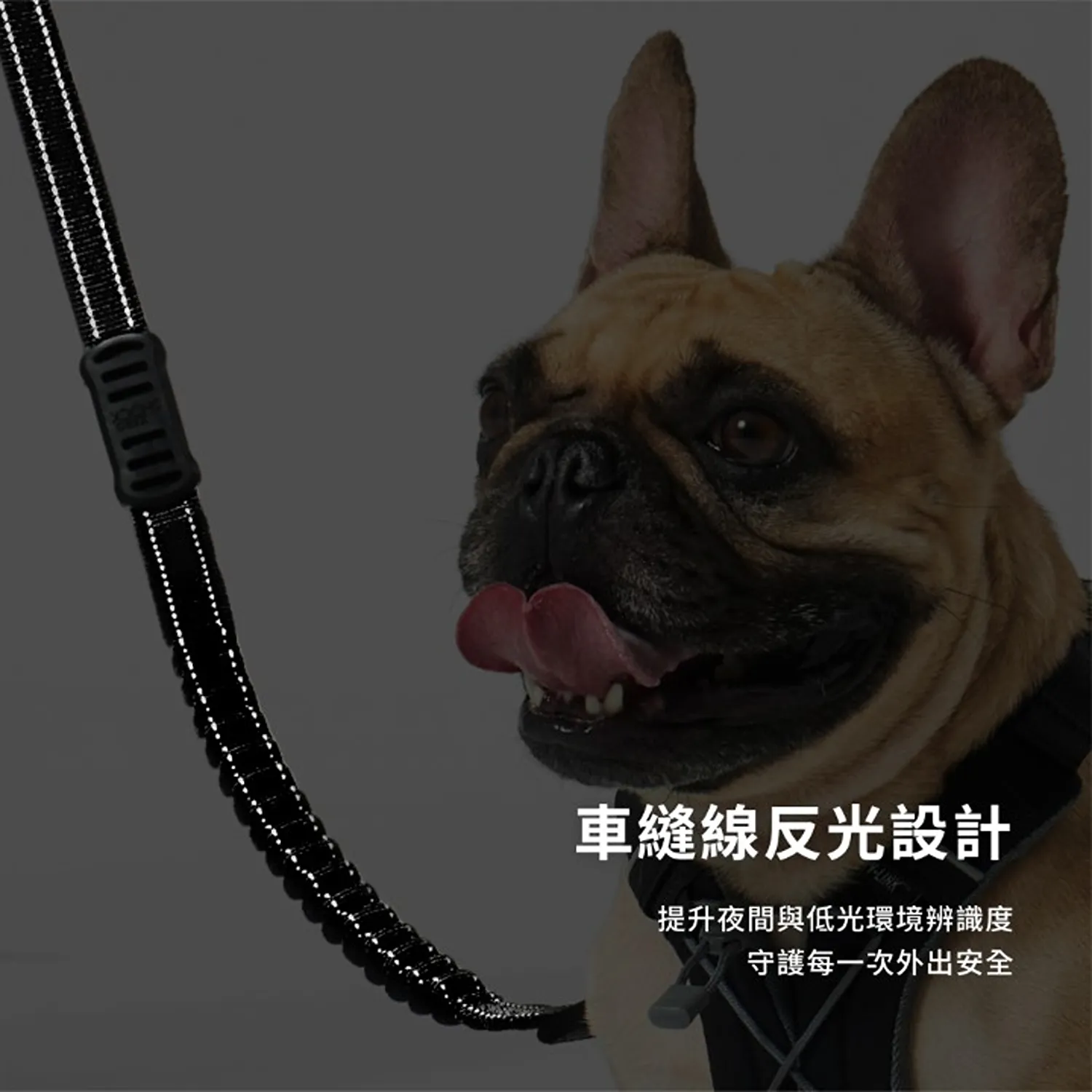 舒適版零拉力牽繩120公分