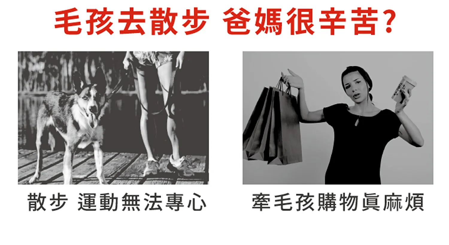 零拉力跑步牽繩210cm