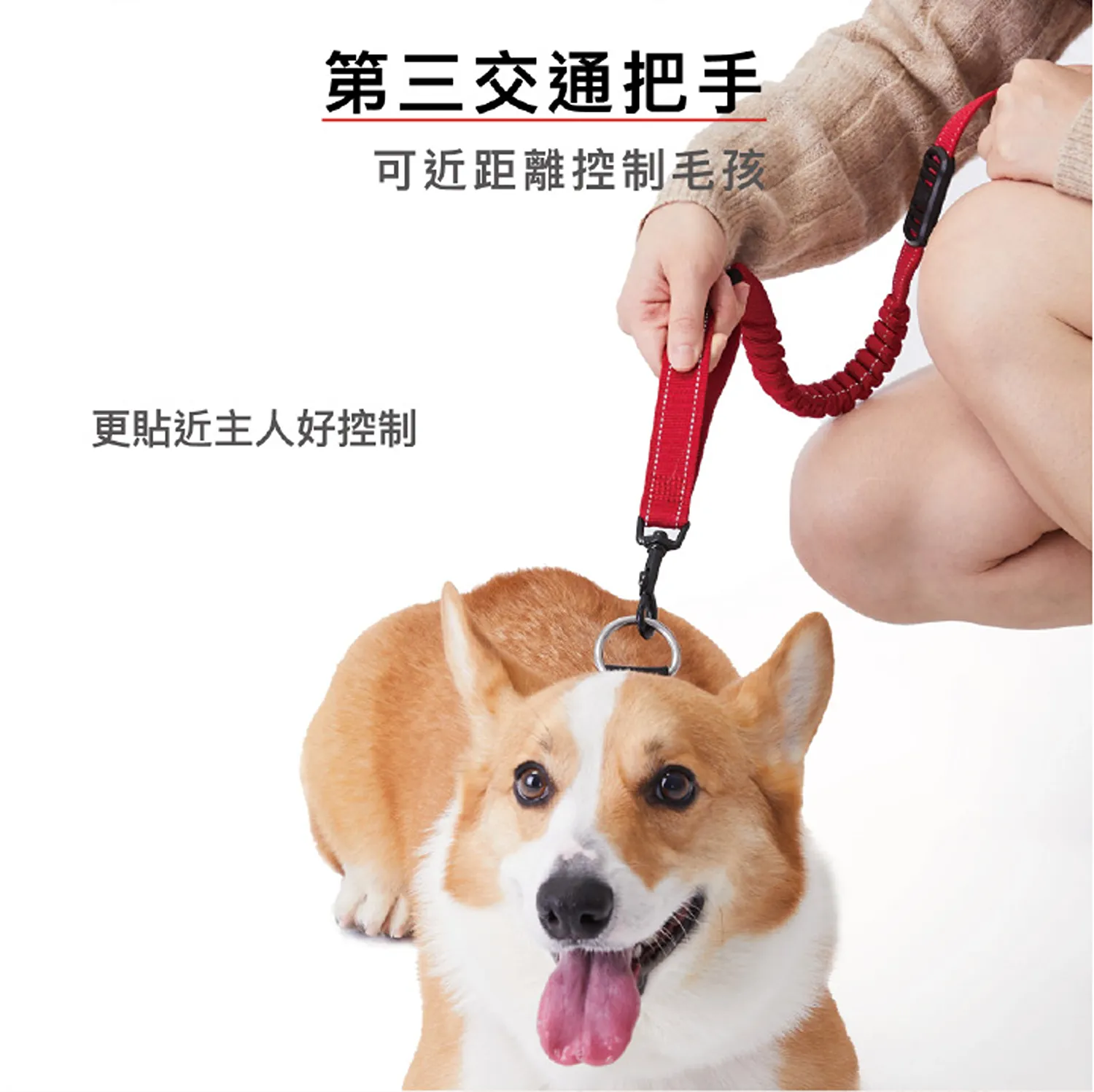 零拉力跑步牽繩210cm