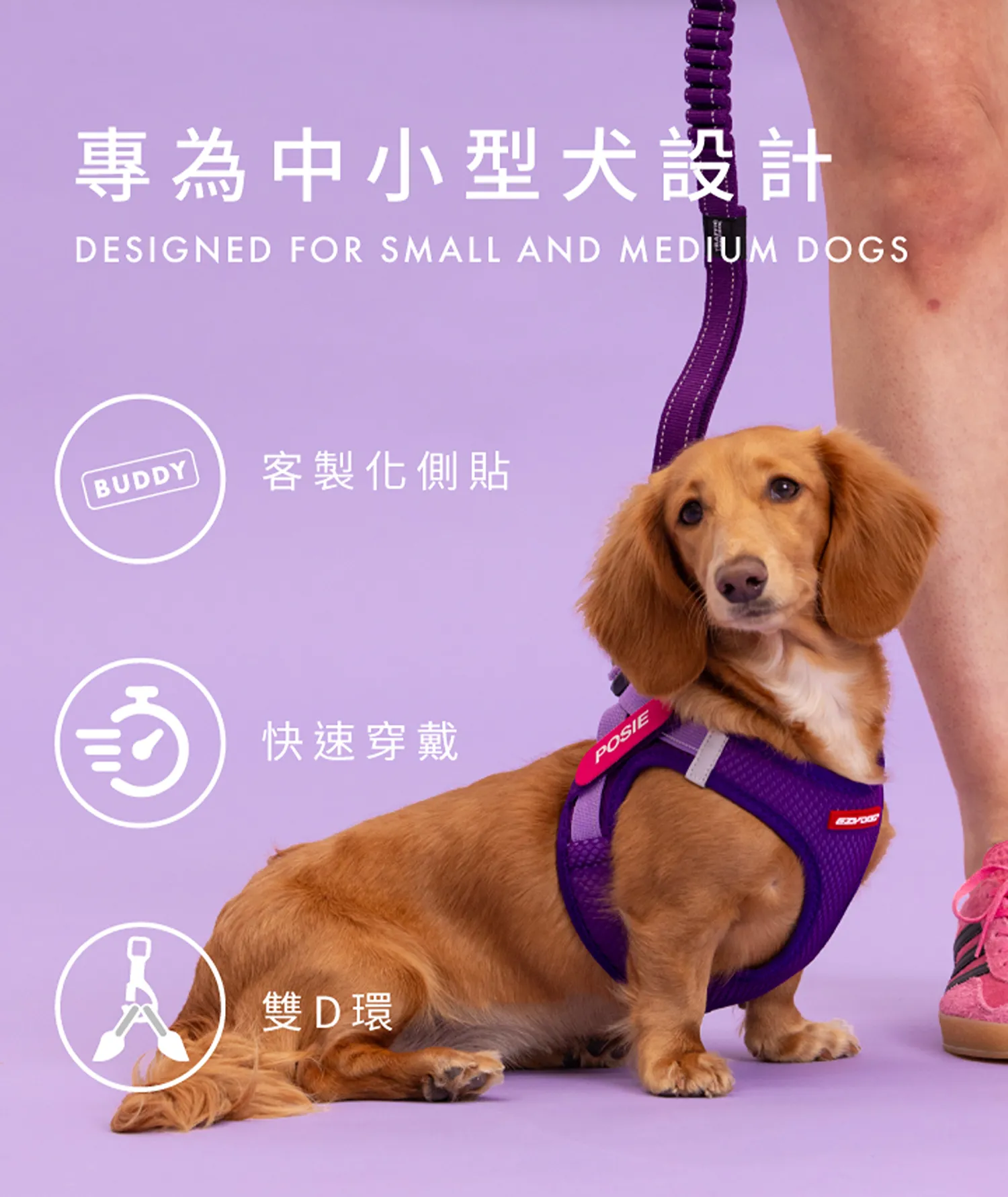 動能胸背帶
