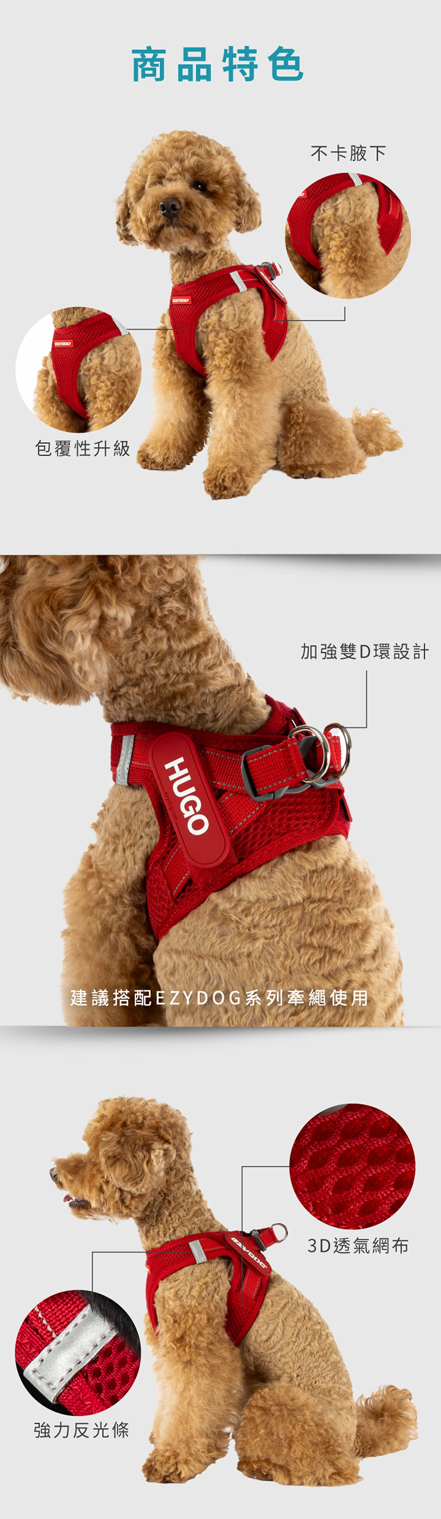 動能胸背帶