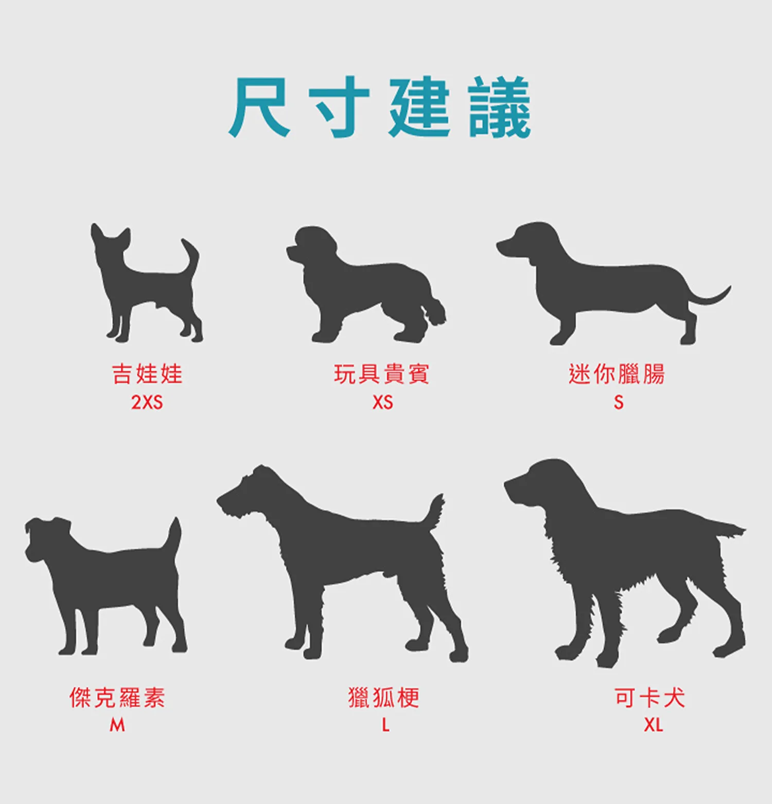 動能胸背帶