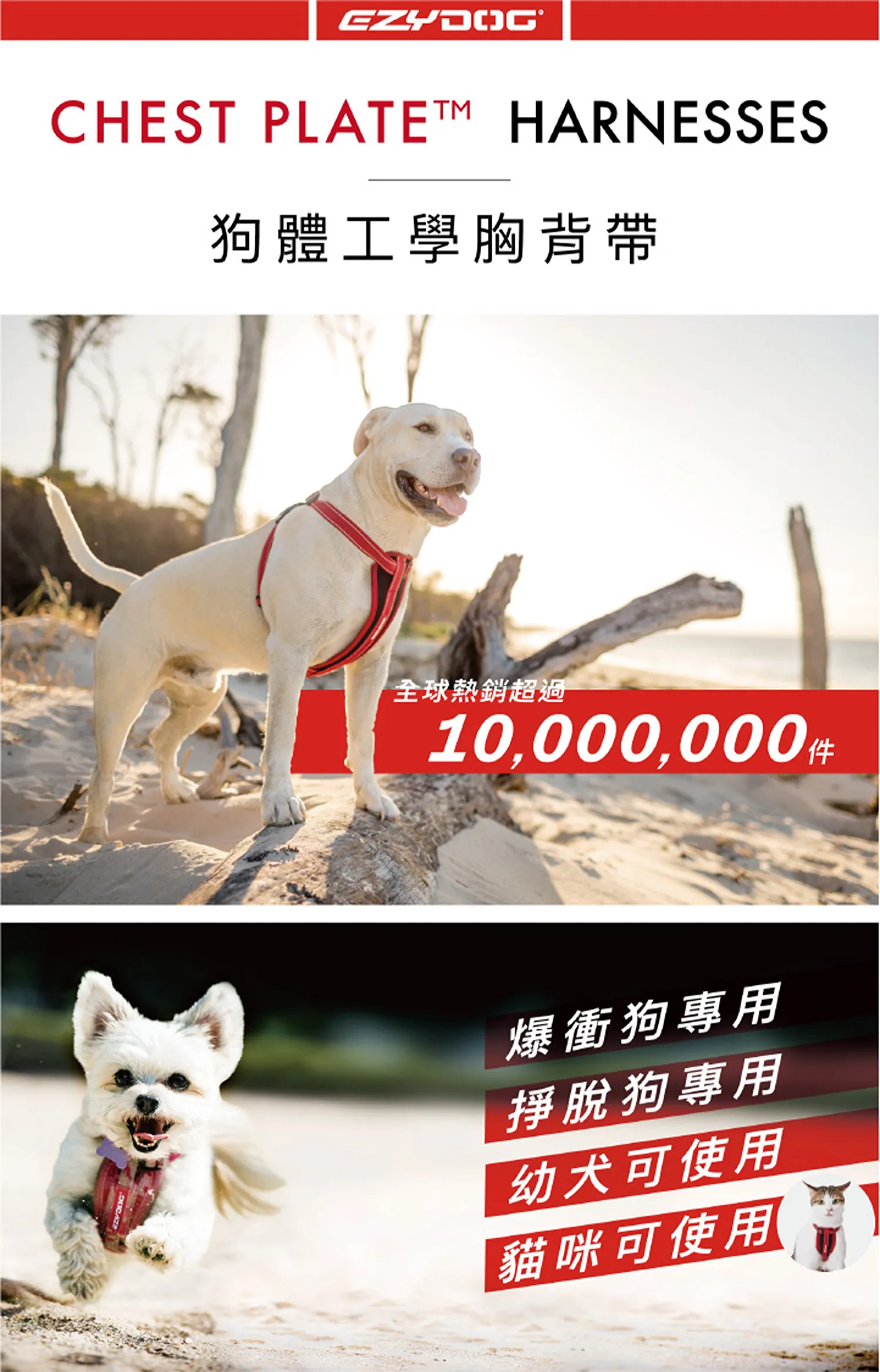 狗體工學胸背帶