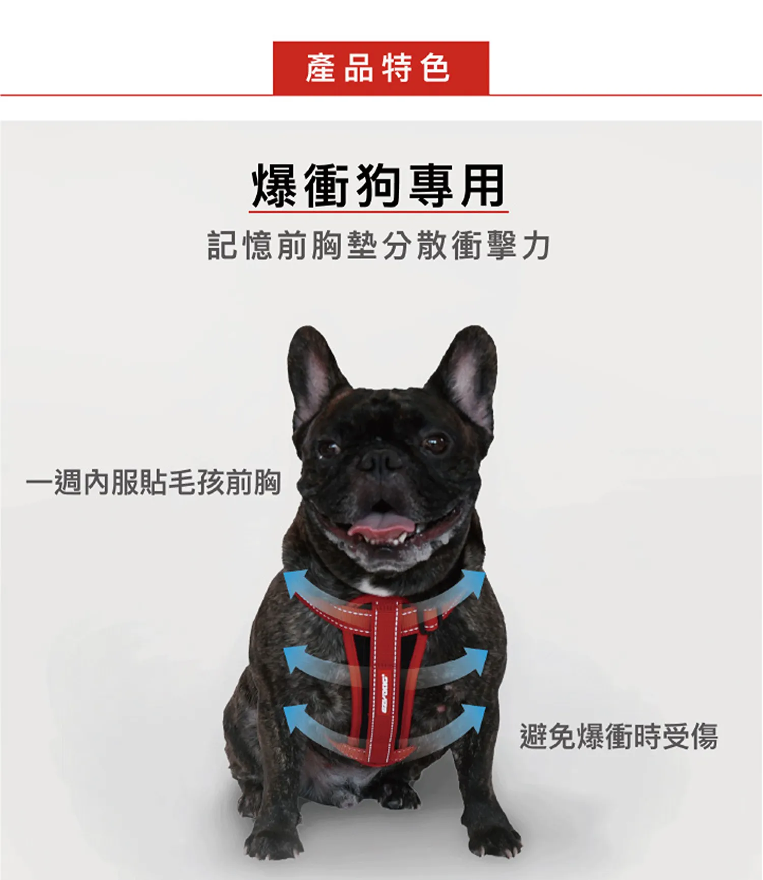 狗體工學胸背帶